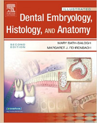 Dental embryology histology and anatomy